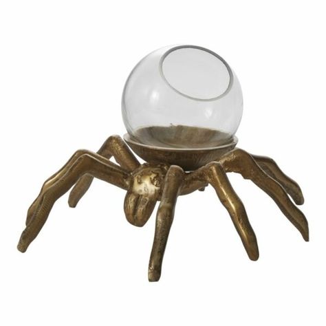 Halloween Decor | Spooky Seasonal Home Decor Halloween Terrarium, Spider Terrarium, Arachnids Spiders, Oddities Decor, Miniature Terrarium, Mirrored Picture Frames, Spooky Halloween Decorations, Creepy Crawlies, Glass Terrarium