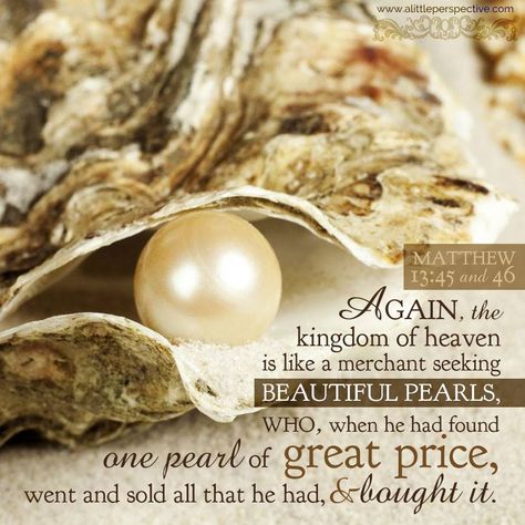 His Precious Pearls motto!  #HisPreciousPearls Peeta Mellark, Scripture Pictures, Oyster Pearl, Kingdom Of Heaven, Pearl And Lace, Oyster Shell, Bible Scriptures, Natural Pearls, Hunger Games