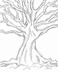 Forest Tree Drawing, Tree Drawing Easy, Tree Drawing Simple, Tree Of Life Artwork, Tree Sketch, Tree Drawings Pencil, Picture Tree, Nature Art Drawings, Nature Sketch