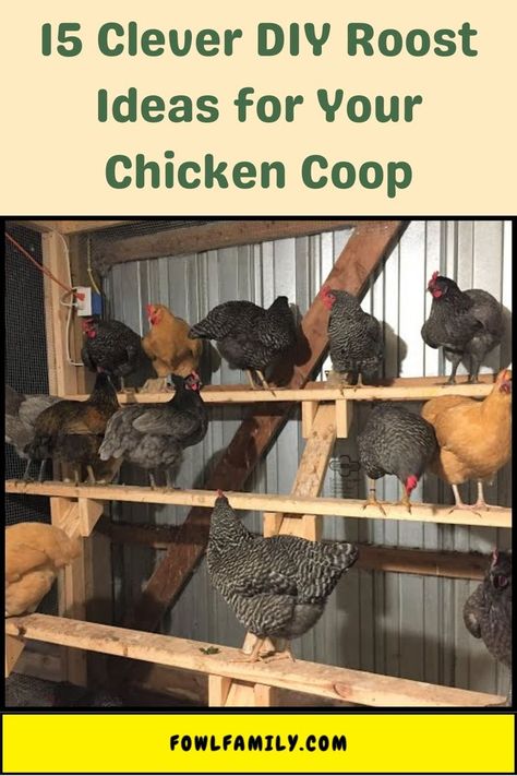 DIY Roost Ideas Chicken House Diy, Chicken Roost Ideas, Backyard Chickens Diy, Nesting Boxes Diy, Inside Chicken Coop, Chicken Coop Designs Diy, Chicken Roost, Easy Chicken Coop, Chicken Coup