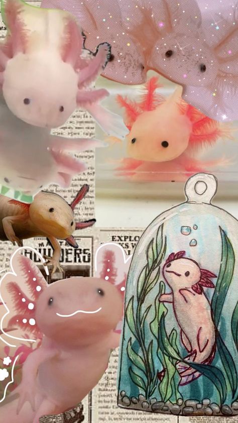 this is a edition about axolotls ��🫶 Axolotl Aesthetic, Axolotl Wallpaper, Star Wallpaper, Cute Doodles, Doodles, Diamonds, Animals, Quick Saves, Kawaii