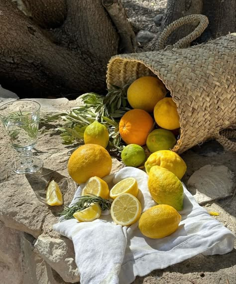 Mediterranean Aesthetic, Tattoo Plant, Italian Aesthetic, French Summer, Sicilian Lemon, Lemon Tree, Italian Summer, Yellow Aesthetic, Summer Feeling