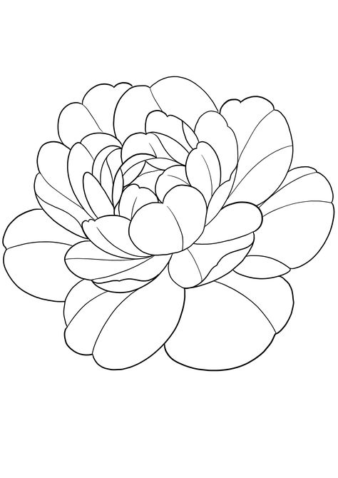 Dahlia Embroidery, Dahlia Tattoo Design, Outline Tattoo Design, Saree Drawing, Dahlia Tattoo, Brush Photoshop, Love Your Work, Traditional Ideas, Peony Tattoo