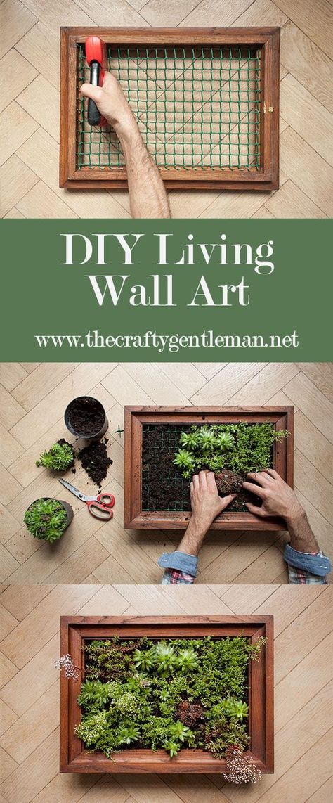 Learn how to make your own living wall art vertical garden. Click through to see the step by step tutorial Living Wall Diy, Moss Graffiti, Succulent Frame, Garden Wall Designs, Living Wall Art, Vertical Vegetable Garden, Wall Art Display, Vertical Garden Wall, Vertical Herb Garden