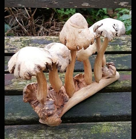 Wood Mushrooms, Wood Whittling, Cute Mushroom, Drift Wood, Wooden Bowl, Small Wood Projects, Whittling, Dry Clay, Hand Carved Wood