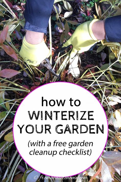 How To Winterize Your Garden (With a Fall Garden Cleanup Checklist) Winter Garden Ideas, Homestead Garden Layout, Hydrangea Vine, Ranch Landscaping, Garden Checklist, Garden Prepping, Trumpet Lily, Autumn Clematis, Fall Clean Up