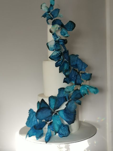 3 tier tall cake covered in blue morpho butterflies Tall Cake, Blue Morpho Butterfly, Tall Cakes, Paper Blue, Morpho Butterfly, Blue Morpho, Blue Butterflies, Cake Cover, Blue Butterfly