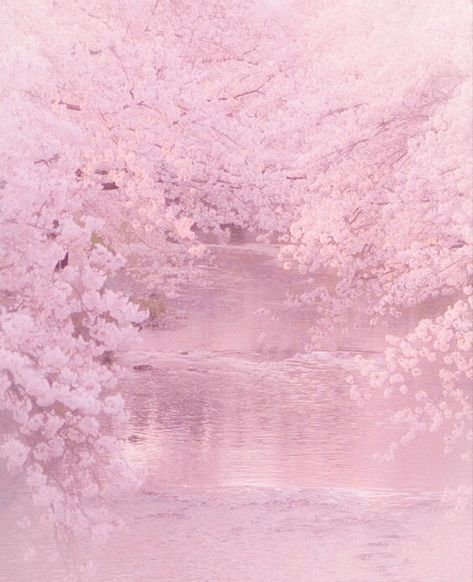 Cherry Blossom Goddess, Light Pink Images Aesthetic, Boyfriend Core, Pink Universe, Tokyo Nightlife, Magical Scenery, Pink Princess Aesthetic, Pink Cafe, Pink Wallpaper Hello Kitty