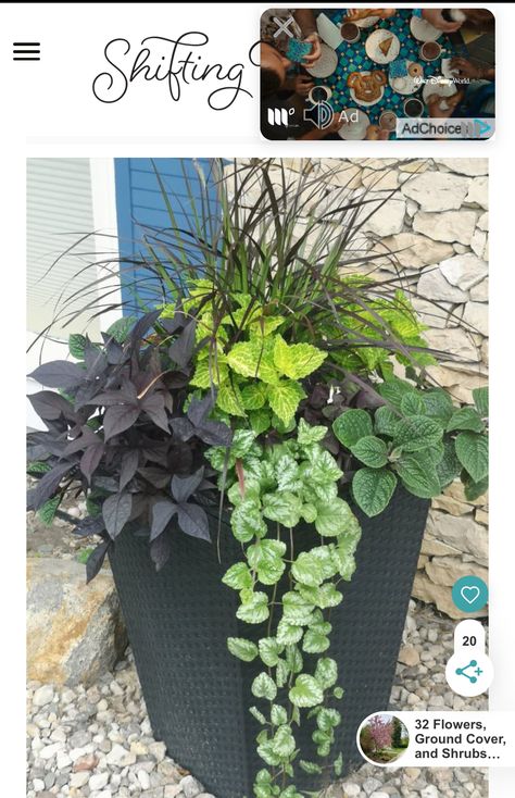 Flower Bed With Coleus, Shade Garden Container Planters, Corner Container Garden Ideas, Shaded Front Porch Potted Plants, Shady Planter Ideas, Shade Flower Pot Ideas, Full Shade Planter Ideas, Shady Front Porch Plants, Tall Shade Plants For Containers