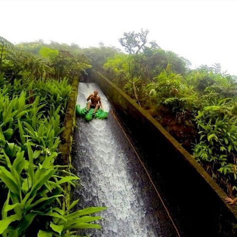 What a blast!! Natural flume water slide on the Big Island of Hawaii. On the hike here you'll pass hidden waterfalls and breathtaking overlooks with views of gorgeous Waipio Valley. To finally get to this slide, you have to hike through a tunnel for about half a mile. Photo by /garebear32/ Waipio Valley, Hawaii Adventures, Moving To Hawaii, Hawaii Honeymoon, Big Island Of Hawaii, Hawaiian Vacation, Island Of Hawaii, Hawaii Life, Hawaii Trip