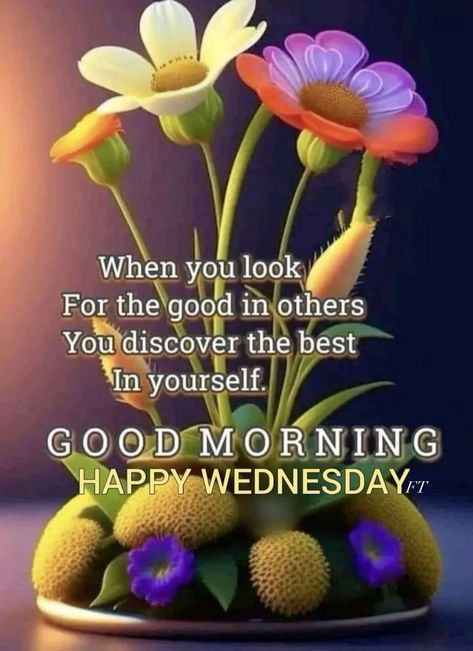 Wednesday Morning Images, Good Wednesday Morning, Good Morning Happy Wednesday, Wednesday Morning Greetings, Wednesday Morning Quotes, Tuesday Pictures, Wednesday Greetings, Wednesday Blessings, Tuesday Blessings