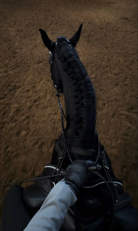 ig: kaokiii Horse Riding Dark Aesthetic, Horse Riding Pov, Friesian Dressage, Equitation Aesthetic, Horseback Riding Aesthetic, Equestrian Pictures, Horsey Life, Horse Riding Aesthetic, Horse Braiding