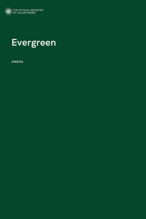 Evergreen - Color Name of Hex #05472A Evergreen Colour Palette, Forest Green Pantone, Green Shades Colour Palettes, Shades Of Green Palette, Evergreen Color Palette, Emerald Green Pantone, Pantone Green Shades, Emerald Color Palette, Forest Green Color Palette