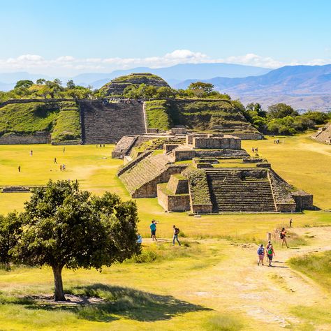 Monte Alban is a must-visit site if you’re spending time in Oaxaca. Here’s how to get there and what to see. Mexico Activities, Monte Alban Oaxaca, Mexico Project, Monte Alban, Mayan Cities, Luxor Egypt, Pozole, Visit Egypt, Future City