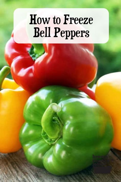 How to Freeze Bell Peppers Freeze Bell Peppers, How To Freeze Peppers, Freeze Peppers, Freezing Bell Peppers, Freezing Veggies, Freezing Peppers, Homestead Gardening, Freezing Vegetables, Freezing Fruit