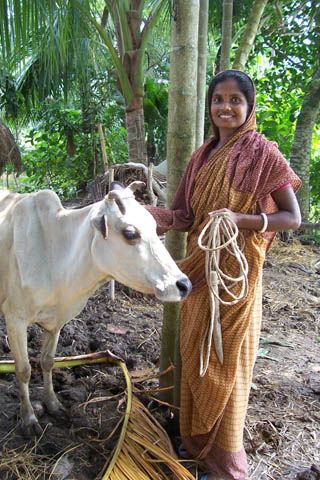 Woman and her cow, Bangladesh. Photo by WorldFish, 2004 by The WorldFish Center, via Flickr Antigua And Barbuda Flag, Village Girls, Rice Photography, Bangladesh Travel, Cow Photography, Smiling People, Amazing India, Village Photos, India Photography