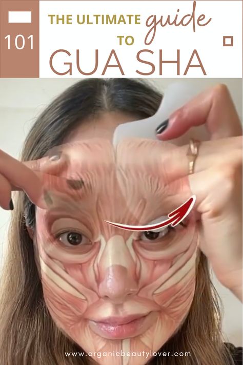 How To Use a Gua Sha: The Ultimate Guide 2024 - ORGANIC BEAUTY LOVER Anti Aging Gua Sha, How Often Should You Do Gua Sha, Full Body Gua Sha Map, Wildling Gua Sha, Skin Care Guasha Aesthetic, Gus Sha Face, Gua Sha Facial Massage, Gua Sha Step By Step, Gua Sha Roller Technique