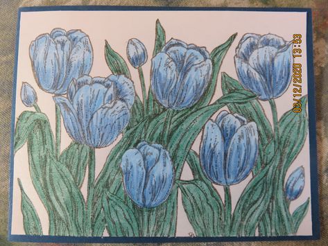 Blue Tulips Drawing, Tulip Drawing, Drawing Blue, Blue Tulips, Language Of Flowers, Card Ideas, Tulips, Card Design, Drawings