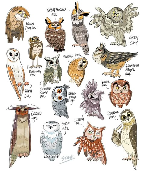 Cool Owl Drawing, How To Draw Owls, Owl Cute Drawing, How To Draw An Owl, Owl Fursona, How To Draw Owl, Owl Illustration Art, Cartoon Owl Drawing, Drawing Owls