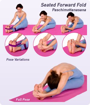 Seated Forward Fold (Paschimottanasana) is a popular yoga pose that deeply stretches the back side of the body. Read this guide for detailed information about this pose! Seated Forward Fold, Seated Forward Bend, Essential Yoga Poses, Popular Yoga Poses, Forward Bend, Forward Fold, Yoga Posen, Yoga Positions, Bikram Yoga