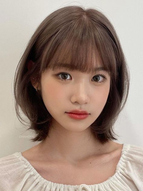 Korean short layered hairstyle with front bangs Short Hairstyle With Bangs, Korean Short Hairstyle, Hairstyle With Bangs, Short Haircuts With Bangs, Layered Hair With Bangs, Korean Short Hair, Girls Short Haircuts, Asian Short Hair, Shot Hair Styles