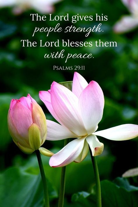 Peace can be hard to come by these days. But these inspirational bible verses about peace of mind bring comfort and strength for any problem you might face. #bibleversesaboutpeaceofmind #bibleversesaboutpeaceandcomfort Words Of Peace And Comfort, Positive Quotes For Life Bible, Scripture Comfort, Peace Of The Lord, Condolences Bible Verse, Strength And Peace Quotes, Peace And Blessings Quotes, Wishing Peace Quotes, Peace Verses Scriptures