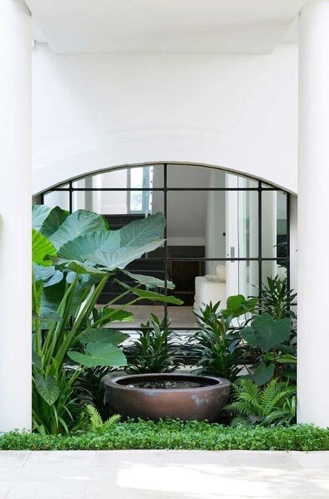 Pocket Garden Small Spaces, Planting Layout, Tropical Backyard Landscaping, Bali Garden, Pocket Garden, Tropical Garden Design, Small Courtyard Gardens, Jungle Gardens, Tropical Backyard