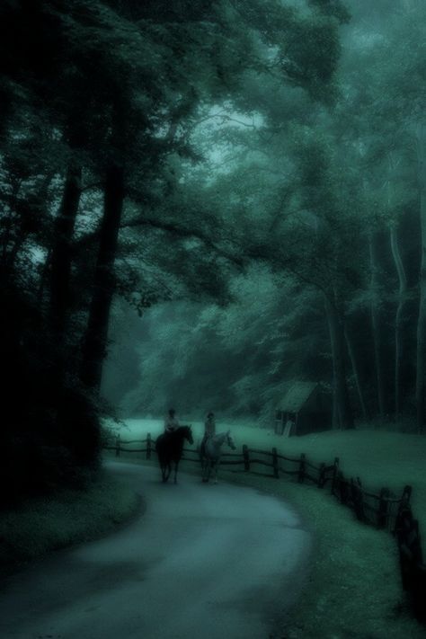 Grunge Green Wallpaper, Dark Fairycore Aesthetic, Dark Fairy Core, Dark Forest Aesthetic, Dark Fairycore, Grunge Pictures, Night Walk, Dark Green Aesthetic, Slytherin Aesthetic