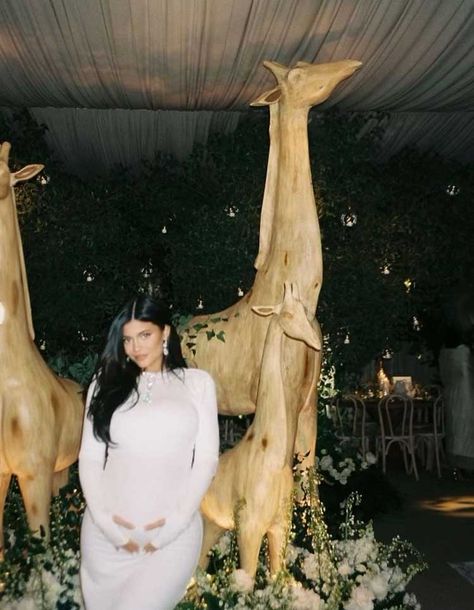 Kylie Jenner Baby Shower, Celebrity Baby Shower, Jenner Pregnant, Kylie Baby Shower, Kylie Jenner Pregnant, Kylie Pregnant, Instagram Kylie Jenner, Kylie Jenner Fotos, Kristen Jenner