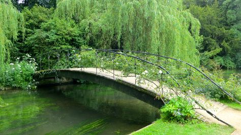 Eco Futurism, Bridge Over Water, Campus Landscape, River Bridge, Art 2024, Pond Design, Garden Path, Glass Floor, Garden Paths