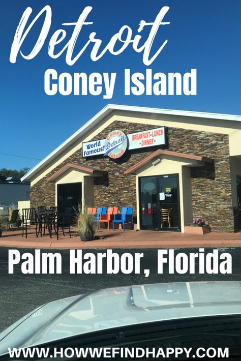 Palm Harbor Florida, North America Travel Destinations, Travel Finds, Moving To Florida, Visit Florida, Us Destinations, Blogger Tips, Usa Travel Destinations, Travel Articles