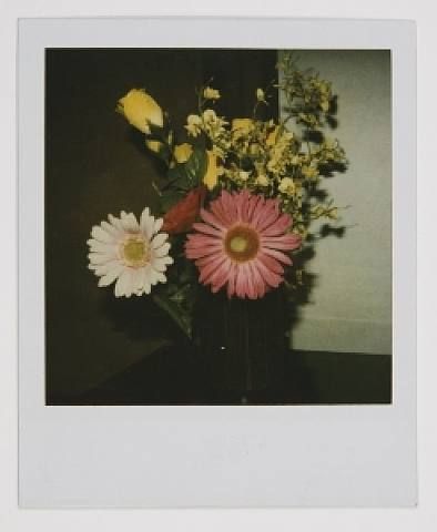 Flower Polaroid, Polaroid Pics, Polaroid Photography, Scratchboard Art, Vintage Polaroid, Polaroid Pictures, Polaroid Photos, Trik Fotografi, Aesthetic Images