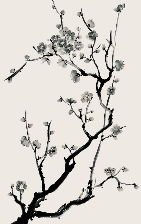 Cherry Branch Tattoo, Cherry Blossom Tattoo On Back, Cherry Blossom Branch Tattoo, Cherry Blossom Back Tattoo, Cherry Blossom Tattoo Design, Black And White Cherry Blossom, Japanese Cherry Blossom Tattoo, Tree Tattoo Black, Japanese Tattoo Words