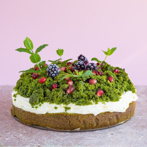 PureChimp on Instagram: “🌱MATCHA MOSS CAKE! Green, unusual and surprisingly delicious. Fun cake with the addition of a mysterious ingredient ;-) layered with…” Cake Moss Recipe, How To Make Moss For Cake, Matcha Moss Cake, Matcha And Chocolate Cake, Mossy Cake, Moss Cake, Slime Cake, Botanical Cake, Hawaiian Cake