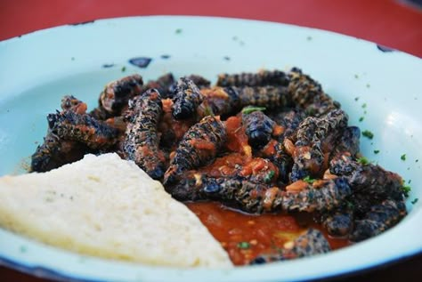 Mopani Worms, Fish Burgers, Bizarre Foods, Gross Food, Africa Food, Magical Land, Exotic Food, Weird Food, Best Dishes