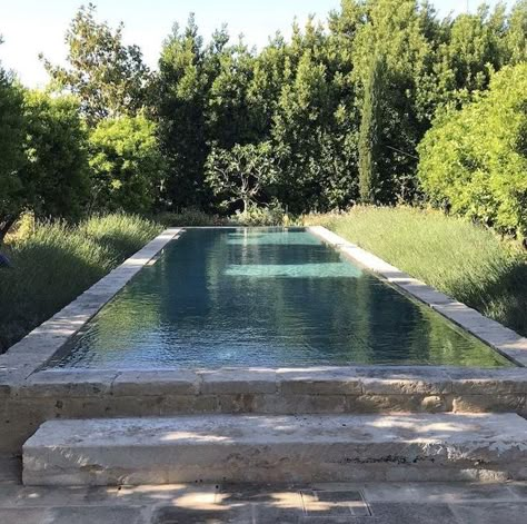 JOIN US IN RESTORING 2/500YR OLD AMAZING ITALIAN BUILDINGS! by Jo Wiehler — Kickstarter Country Swimming Pools, Natural Pools Backyard Swimming Ponds, Natural Swimming Ponds, Pool Landscape Design, 0 Interest, Small Pool Design, Swimming Pond, Natural Swimming Pools, Natural Swimming Pool