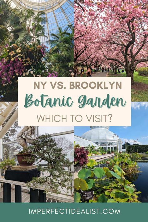 NYC has two main botanical gardens, one in the Bronx (New York Botanical Garden), and one in Brooklyn. I’ve visited both, and while both were beautiful in their own ways, I definitely have a preference. If you only have time to visit one, this guide will go over the main differences between the two gardens and help you make a decision. Botanical Gardens New York, Nyc Garden, Rainforest Biome, Brooklyn Botanical Garden, Brooklyn Botanic Garden, The Bronx New York, New York Botanical Garden, New York Vacation, Bronx New York