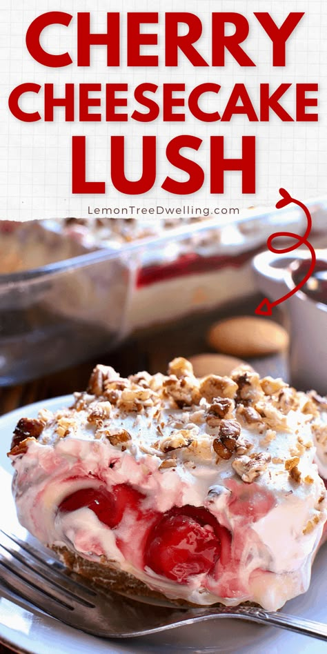 Cherry Cheesecake Lush, Cheesecake Lush, Lush Recipes, Dessert Oreo, Cherry Desserts, Layered Desserts, Cherry Cheesecake, Cherry Recipes, Cheesecake Desserts