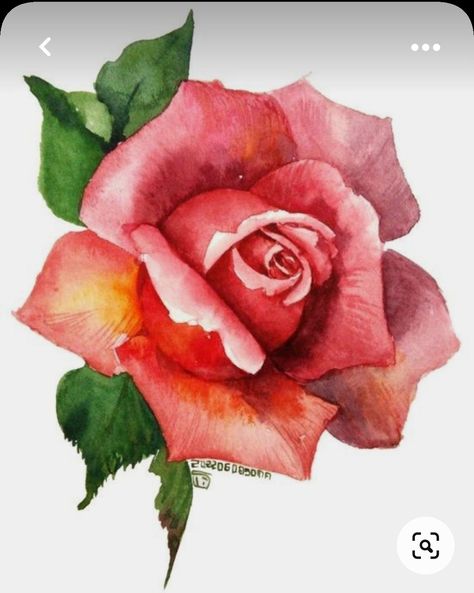 Modern Watercolor Art, Arte Aesthetic, Painting Flowers Tutorial, Rose Drawing, Roses Drawing, Watercolor Flower Art, Art Animals, Animals Art, Flower Art Images