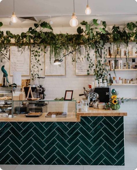 Accent Wall Behind Checkout Counter, Coffee Shop Decoration Ideas, Green Coffee Shop Aesthetic, Boho Coffee Shop Interior Design, Coffee Shop Furniture Ideas, Green Cafe Design, Green Cafe Aesthetic, Cute Coffee Shop Interior, Boho Coffee Shop