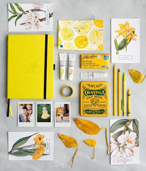 Skillshare (@skillshare) • Instagram photos and videos Flat Lay Stationery, Flatly Photography Ideas, Colorful Flatlay, Photography Studio Equipment, Stationery Photography, Pleasing Photos, Flat Lay Inspiration, Studio Painting, Mellow Colors