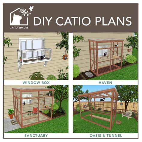 Catio Plans, Diy Cat Enclosure, Katt Diy, Ideas For Cats, Cat Safe Plants, Katt Grejer, Cat Patio, Outdoor Cat Enclosure, Cat Run