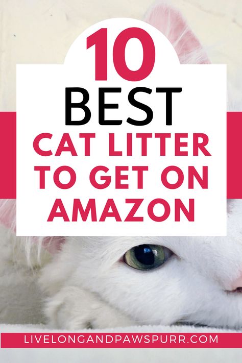 Best Cat Litter To Get On amazon #catproducts #catlitter Best Kitty Litter, Cat Liter, Best Cat Litter, Tidy Cats, Pumpkin Dog Treats, Cat Care Tips, Litter Tray, Cat Scratching Post, Dog Care Tips