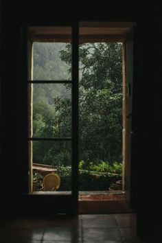 Moody window views An Open Window, Black Appliances, Shotting Photo, Green Forest, Window View, Through The Window, Open Window, Kitchen Window, Pretty Places