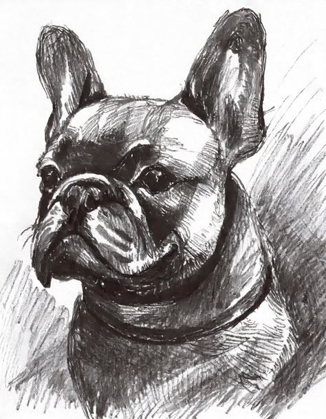 Original Charcoal Drawing of a French Bulldog French Bulldog Sketch, French Bulldog Drawing, Bulldog Drawing, French Bulldog Art, Bulldog Print, Drawing Animals, Paw Pattern, Bulldog Art, Charcoal Drawing