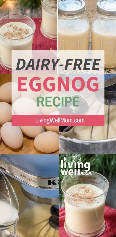 This healthy dairy-free eggnog recipe is easy and so tasty, store bought can’t compare! This homemade version uses almond and coconut milk for a refreshing tasty. Get the easy recipe here: #eggnog #dairyfree #dfeggnog #homemadeeggnog #eggnogrecipe Lactose Free Eggnog, Dairy Free Eggnog Recipe, Dairy Free Eggnog, Dairy Free Egg Nog, Classic Eggnog, Vegan Eggnog, Homemade Eggnog, Eggnog Recipe, Egg Nog