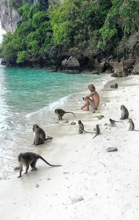 Wildlife Biologist, Thailand Vacation, Dream Holiday, South East Asia, Gap Year, Krabi, Bali Travel, Best Hikes, Summer Dream