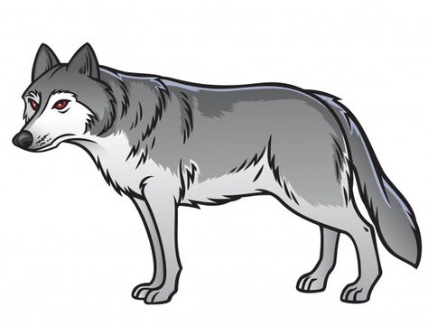 Wolf Cartoon Character, Wolf Cartoon Drawings, Black Wolf Photography, Wolf Art Drawing, Drawing Wolf, Wolf Cartoon, Wolf Vector, Black Wolves, Wolf Drawings