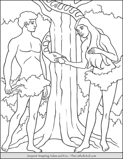 Serpent Tempting Adam Eve Coloring Page - TheCatholicKid.com Adam And Eve Drawing, Adam And Eve Coloring Page, Biblical Drawings, Catholic Coloring Pages, Childrens Bible Activities, Free Bible Coloring Pages, Creation Coloring Pages, Story Crafts, Sunday School Coloring Pages