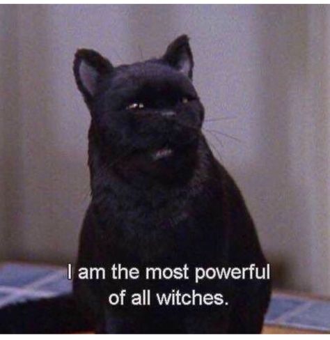 Salem Saberhagen, Salem Cat, Sabrina Spellman, Season Of The Witch, Tv Quotes, What’s Going On, Most Powerful, Spirit Animal, Movie Quotes